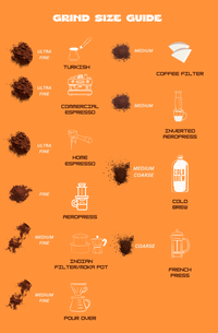Coorg Harvest Symphony-Whole Crop Naturals 100% Arabica Coffee - Medium Roast with Fruity Notes of Roasted Almond and Grapes